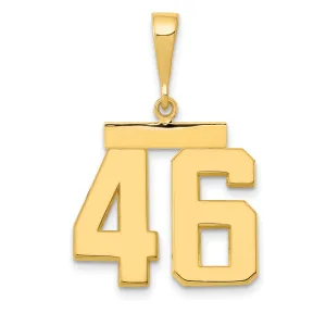 14k Yellow Gold Medium Polished Number 46 Charm