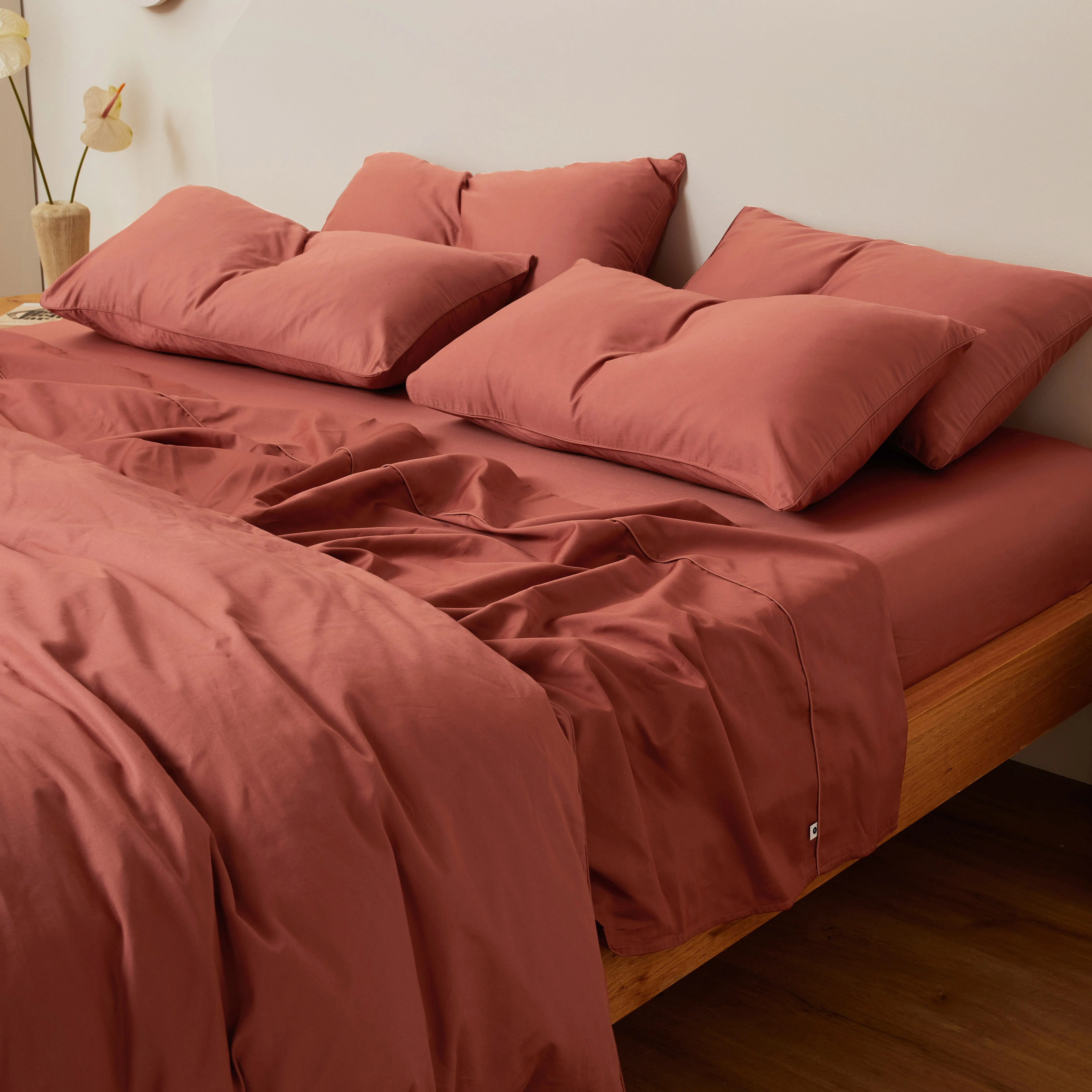 Eden Cotton - Rust Fitted Sheet