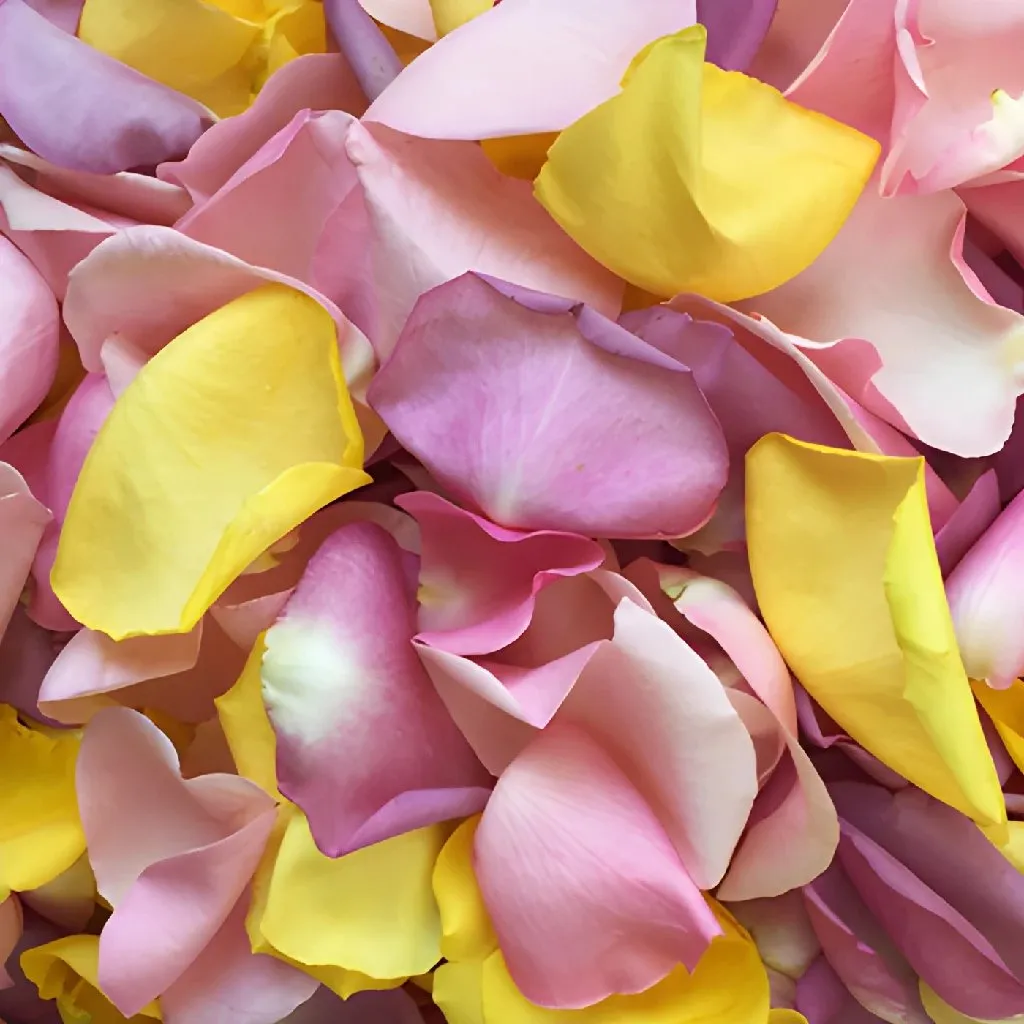 Pastel Mix Rose Petals