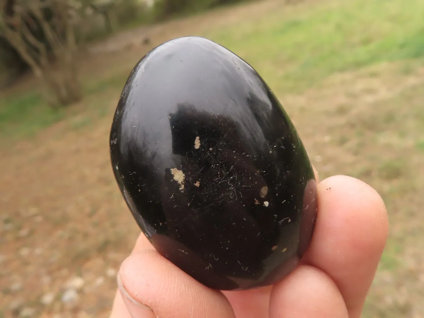 Polished Black Tourmaline / Schorl Galet / Palm Stones x 20 From Madagascar