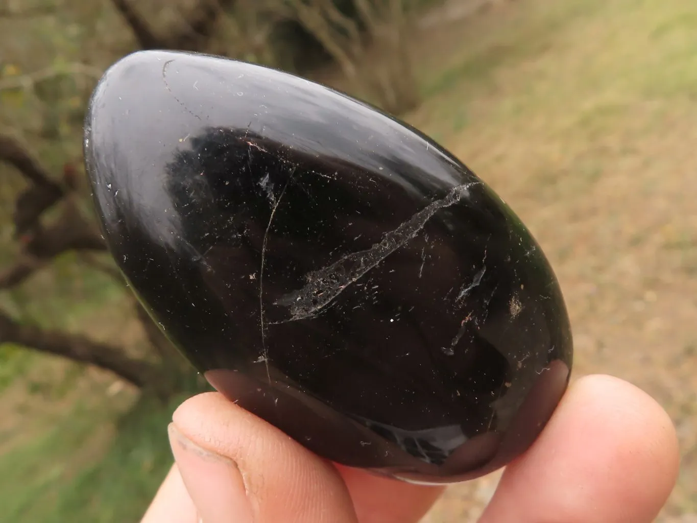 Polished Black Tourmaline / Schorl Galet / Palm Stones x 20 From Madagascar