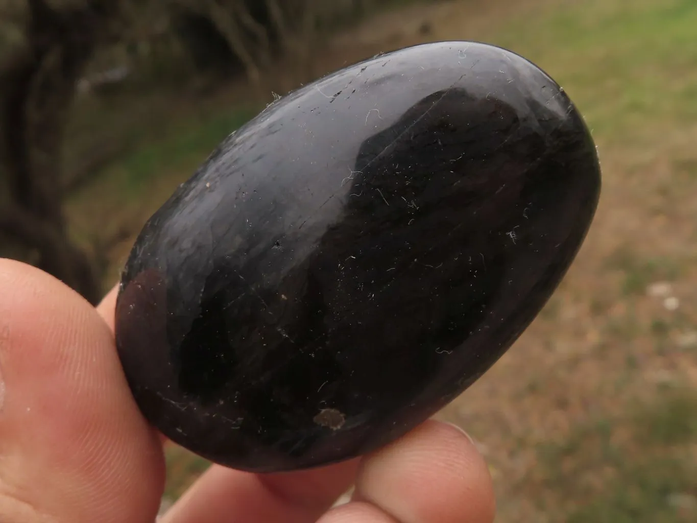 Polished Black Tourmaline / Schorl Galet / Palm Stones x 20 From Madagascar