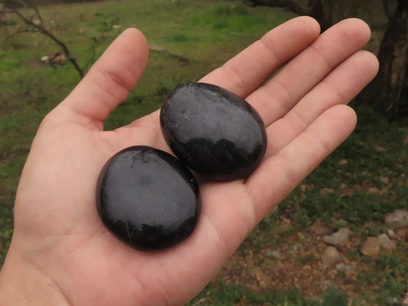 Polished Black Tourmaline / Schorl Galet / Palm Stones x 20 From Madagascar