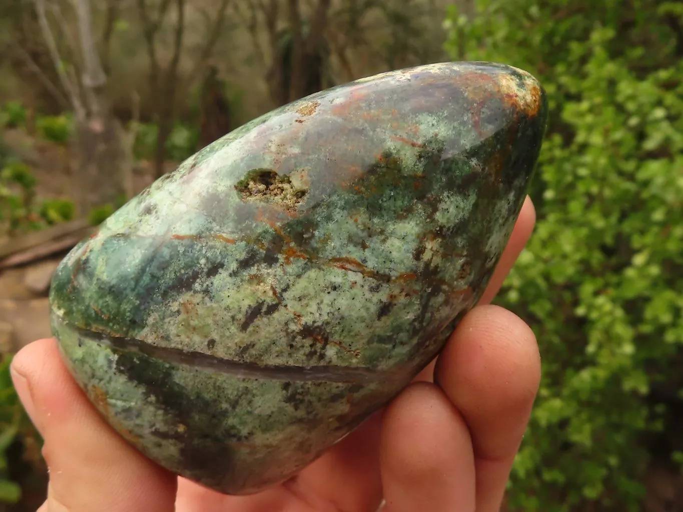 Polished  Green Chrysoprase Standing Free Forms  x 6 From Madagascar