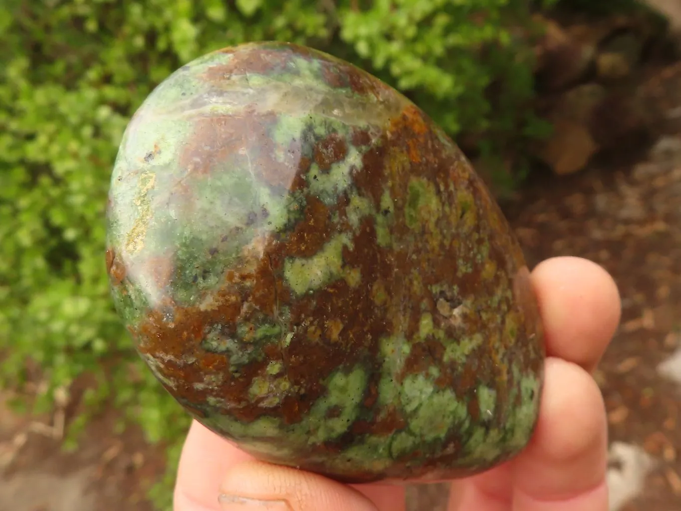 Polished  Green Chrysoprase Standing Free Forms  x 6 From Madagascar