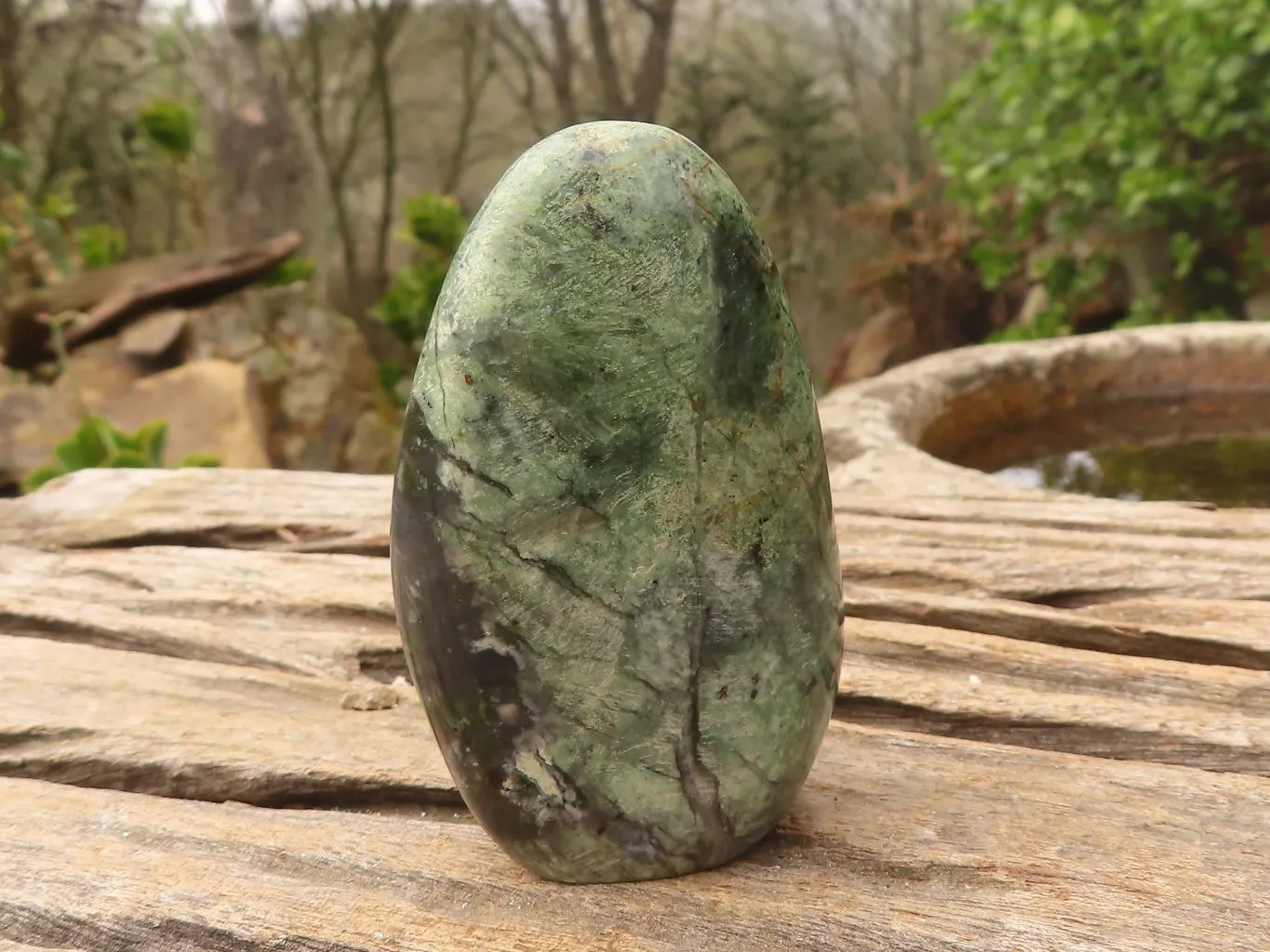 Polished  Green Chrysoprase Standing Free Forms  x 6 From Madagascar