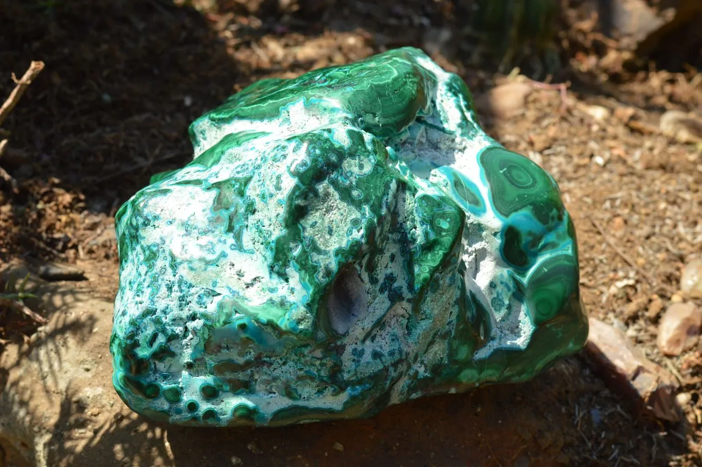 Polished Large Malacholla Specimen With Beautiful Patterns  x 1 From Kulukuluku Mine, Congo