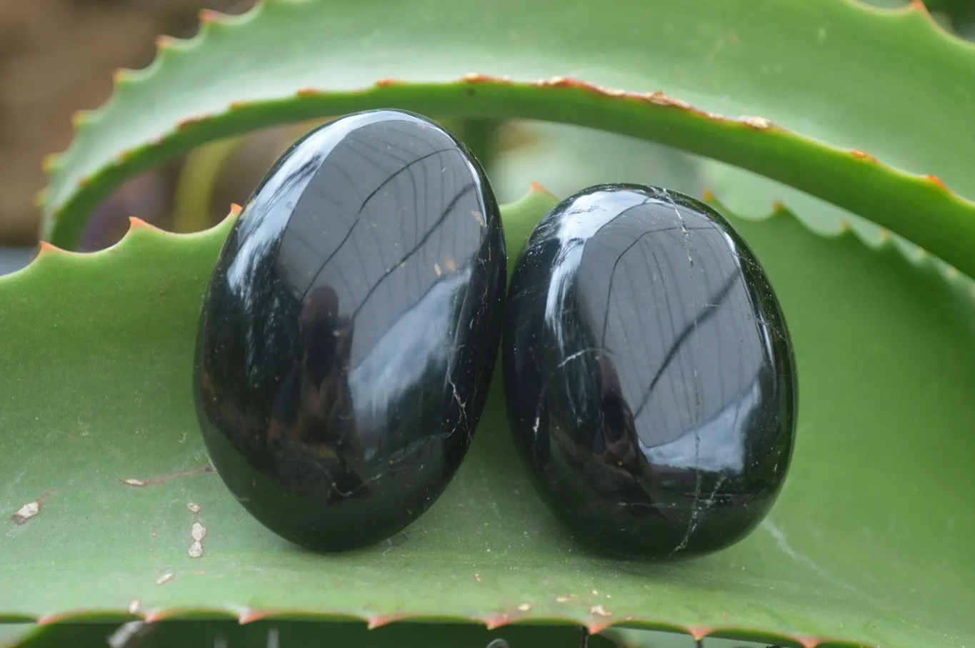 Polished Schorl Black Tourmaline Galet / Palm Stones x 6 From Madagascar