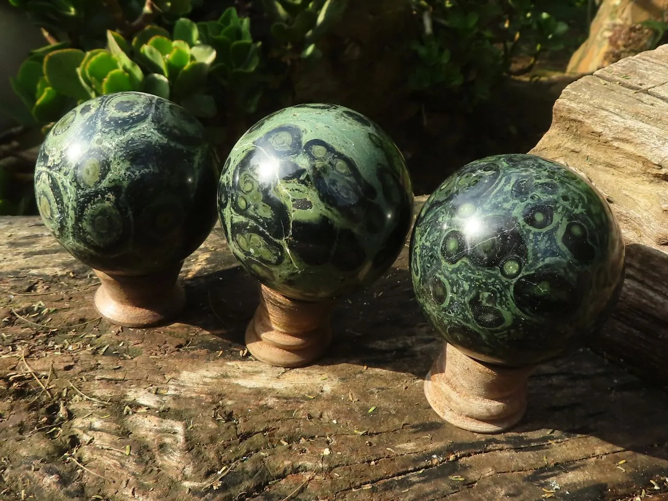 Polished Stromatolite / Kambamba Jasper Spheres  x 3 From Mahajanga, Madagascar