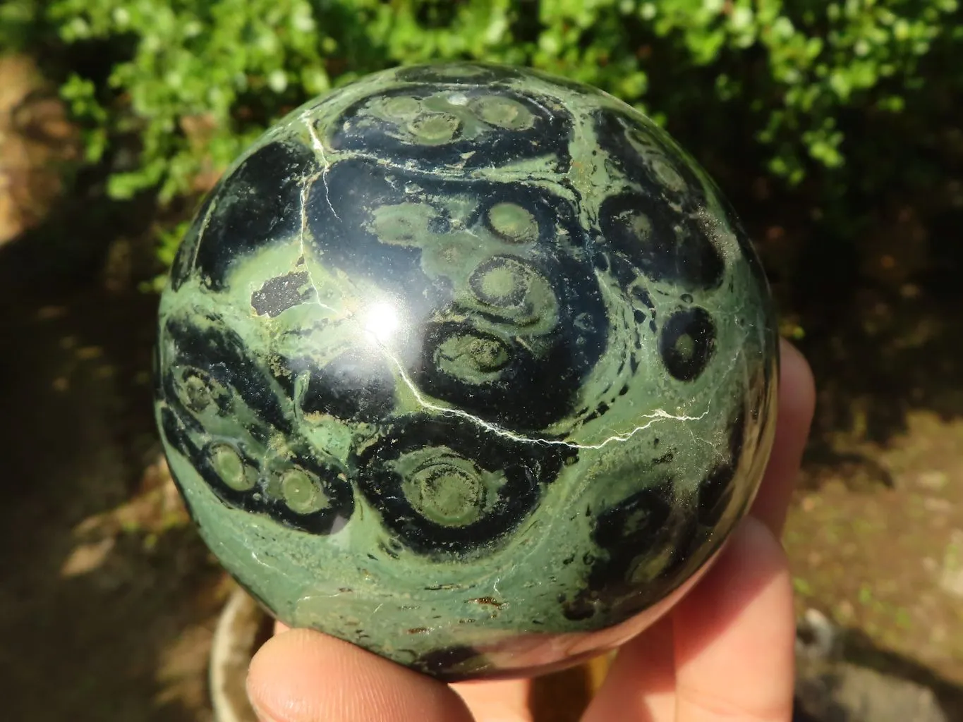 Polished Stromatolite / Kambamba Jasper Spheres  x 3 From Mahajanga, Madagascar