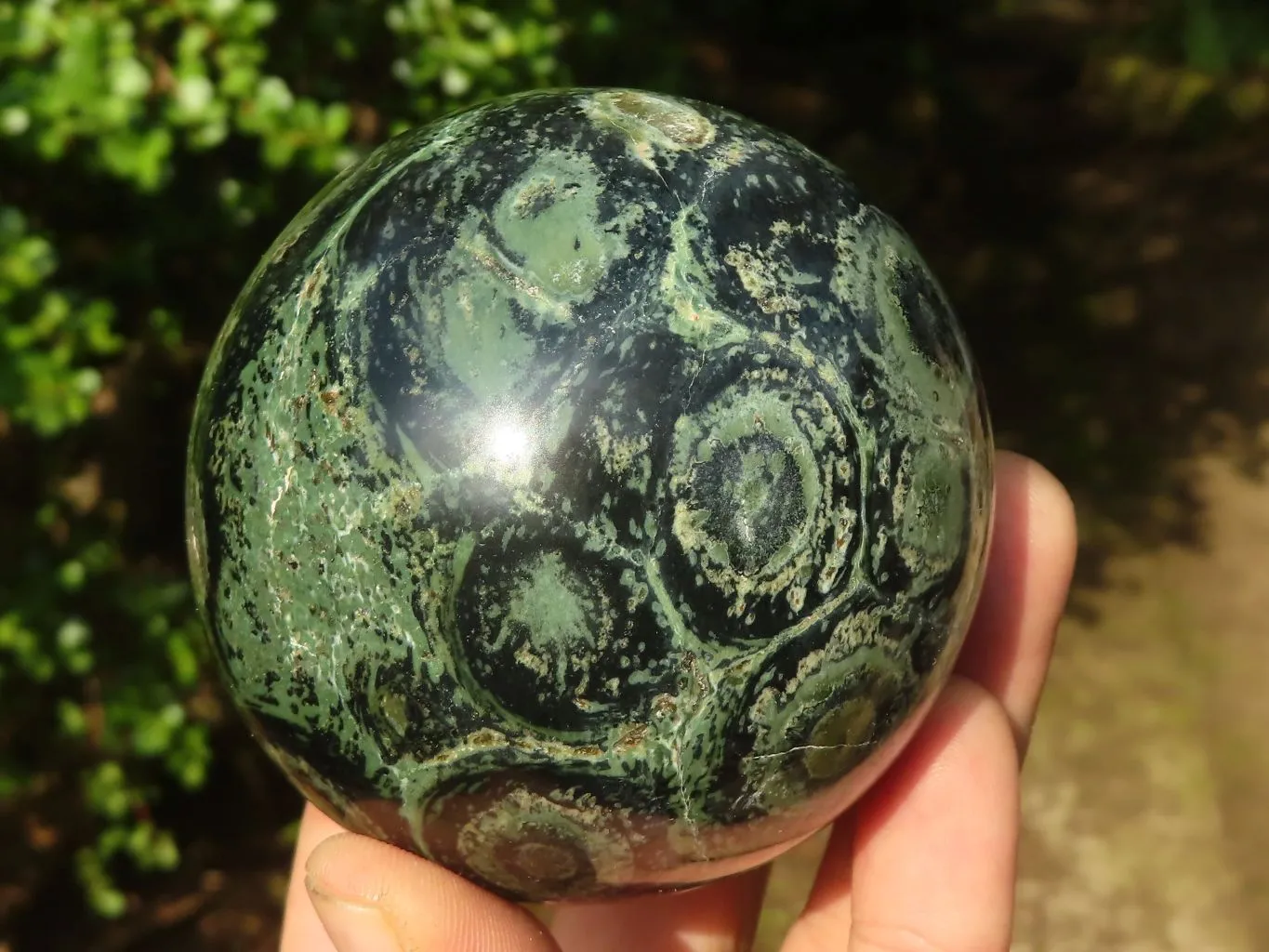 Polished Stromatolite / Kambamba Jasper Spheres  x 3 From Mahajanga, Madagascar