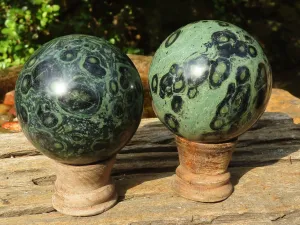 Polished Stromatolite / Kambamba Jasper Spheres  x 3 From Mahajanga, Madagascar