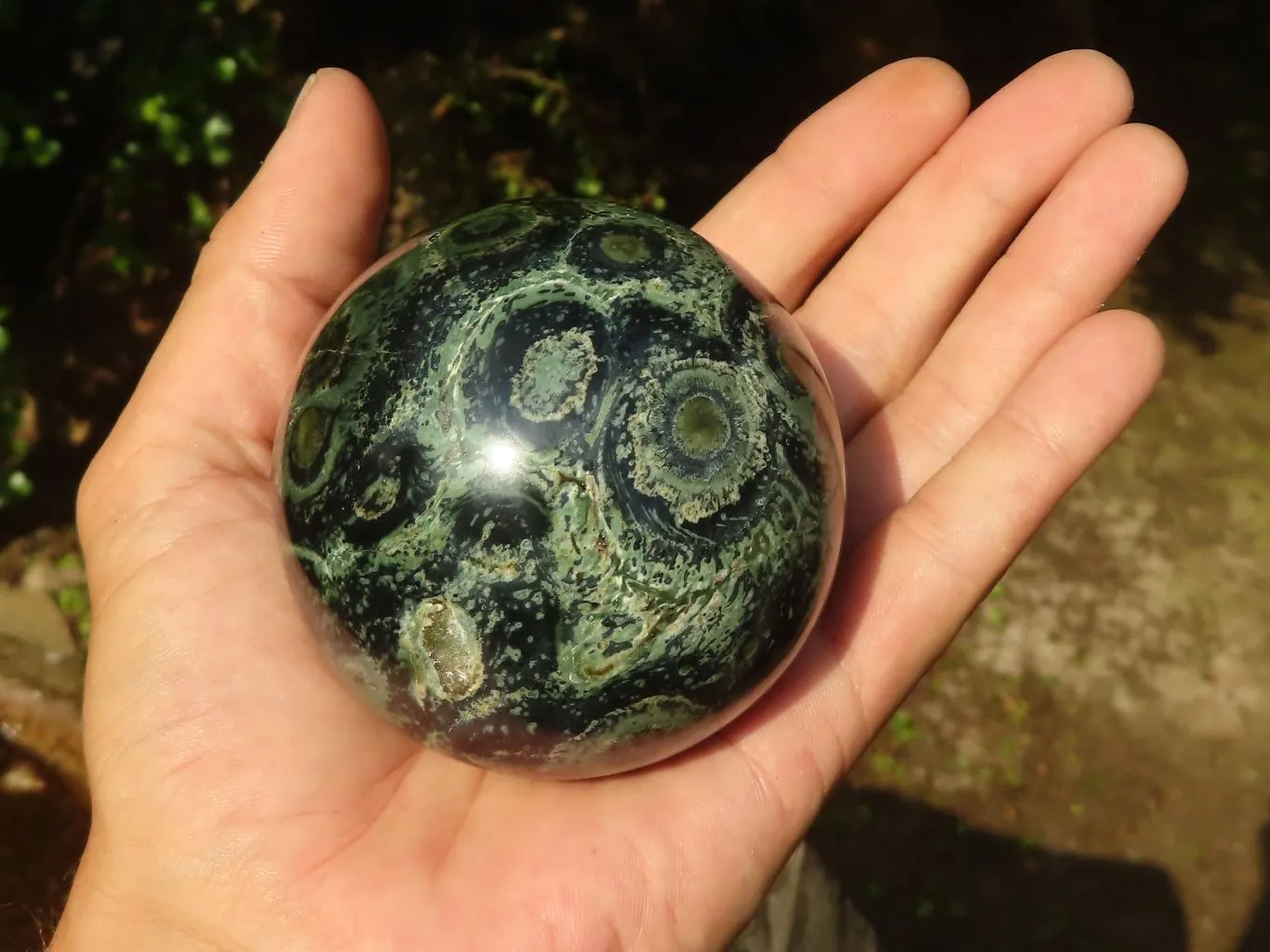 Polished Stromatolite / Kambamba Jasper Spheres  x 3 From Mahajanga, Madagascar