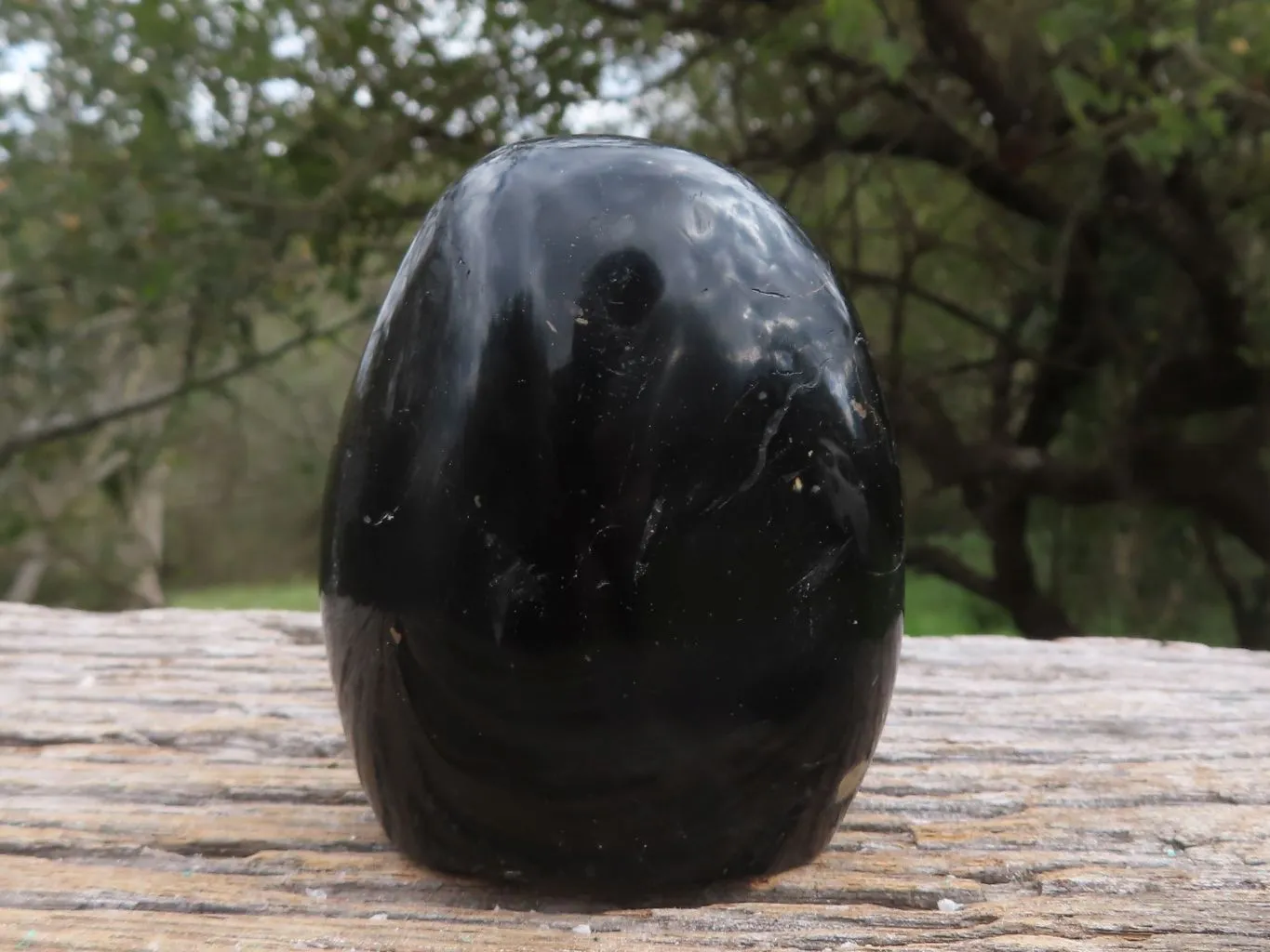 Polished Trio Of Schorl Black Tourmaline Standing Free Forms x 3 From Madagascar