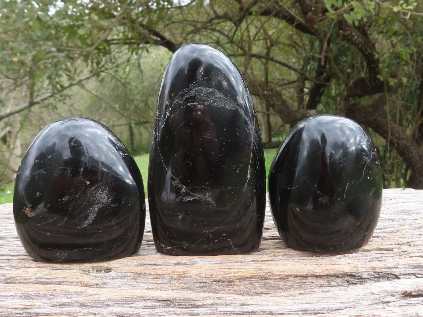 Polished Trio Of Schorl Black Tourmaline Standing Free Forms x 3 From Madagascar