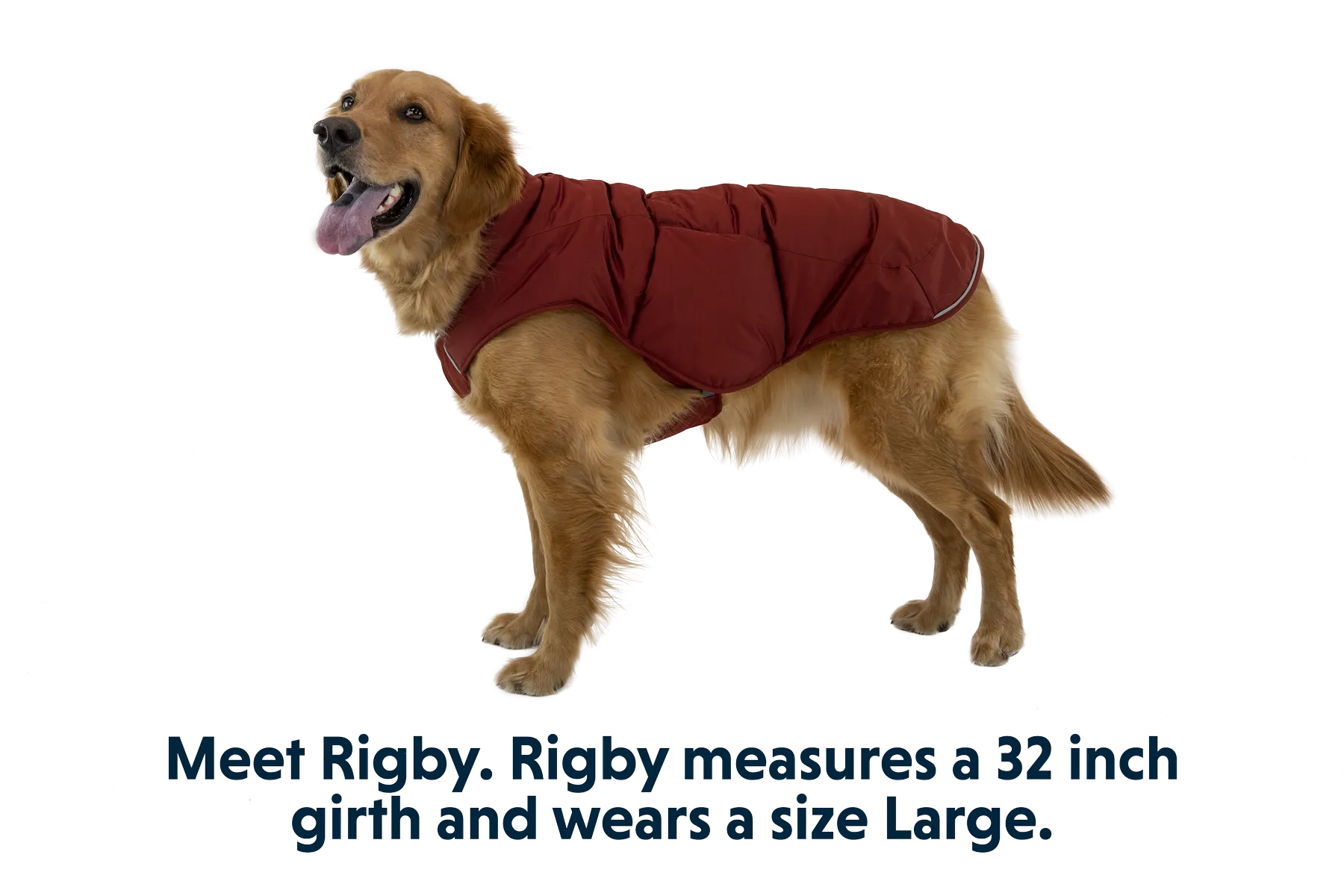 Quinzee™ Dog Jacket