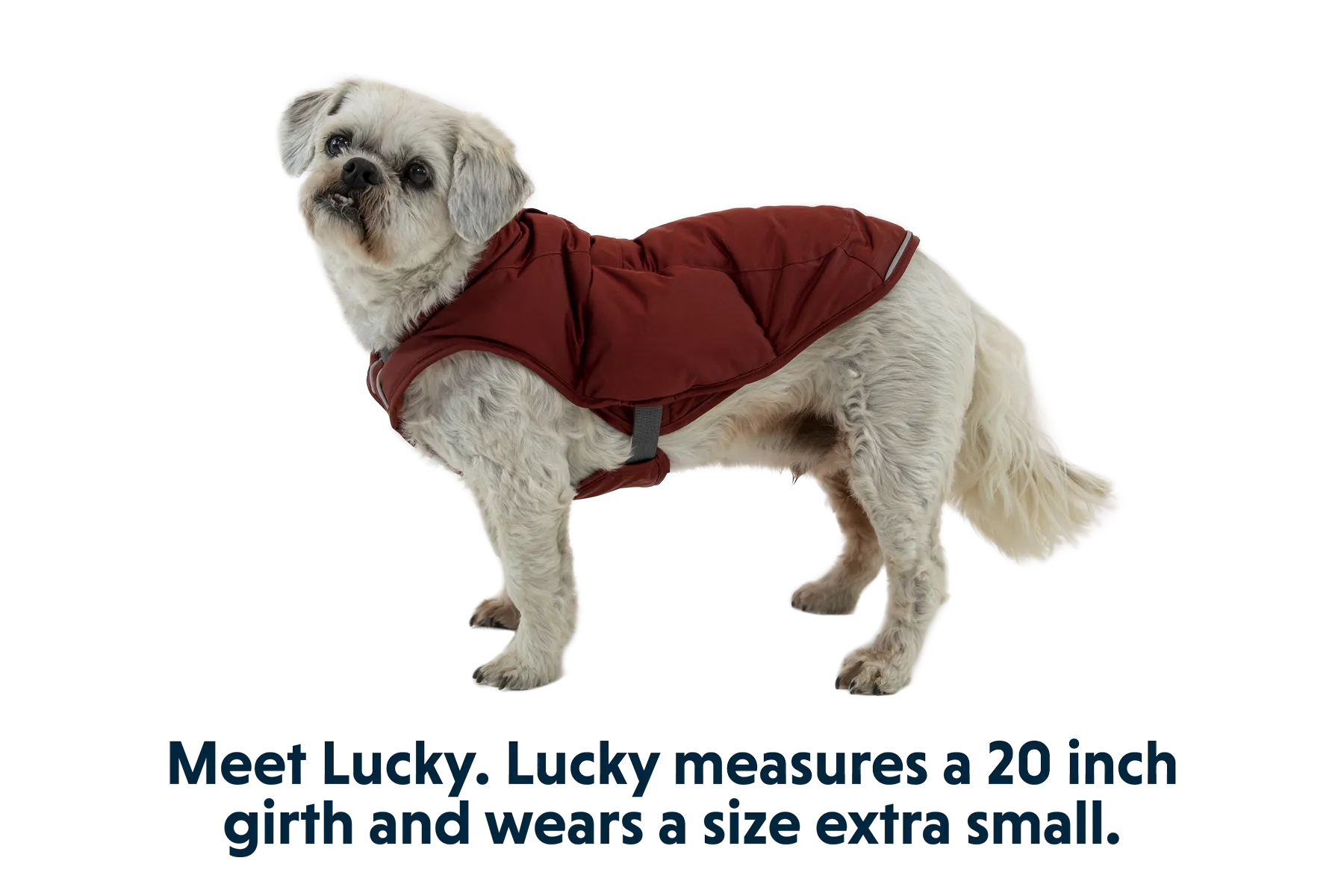 Quinzee™ Dog Jacket