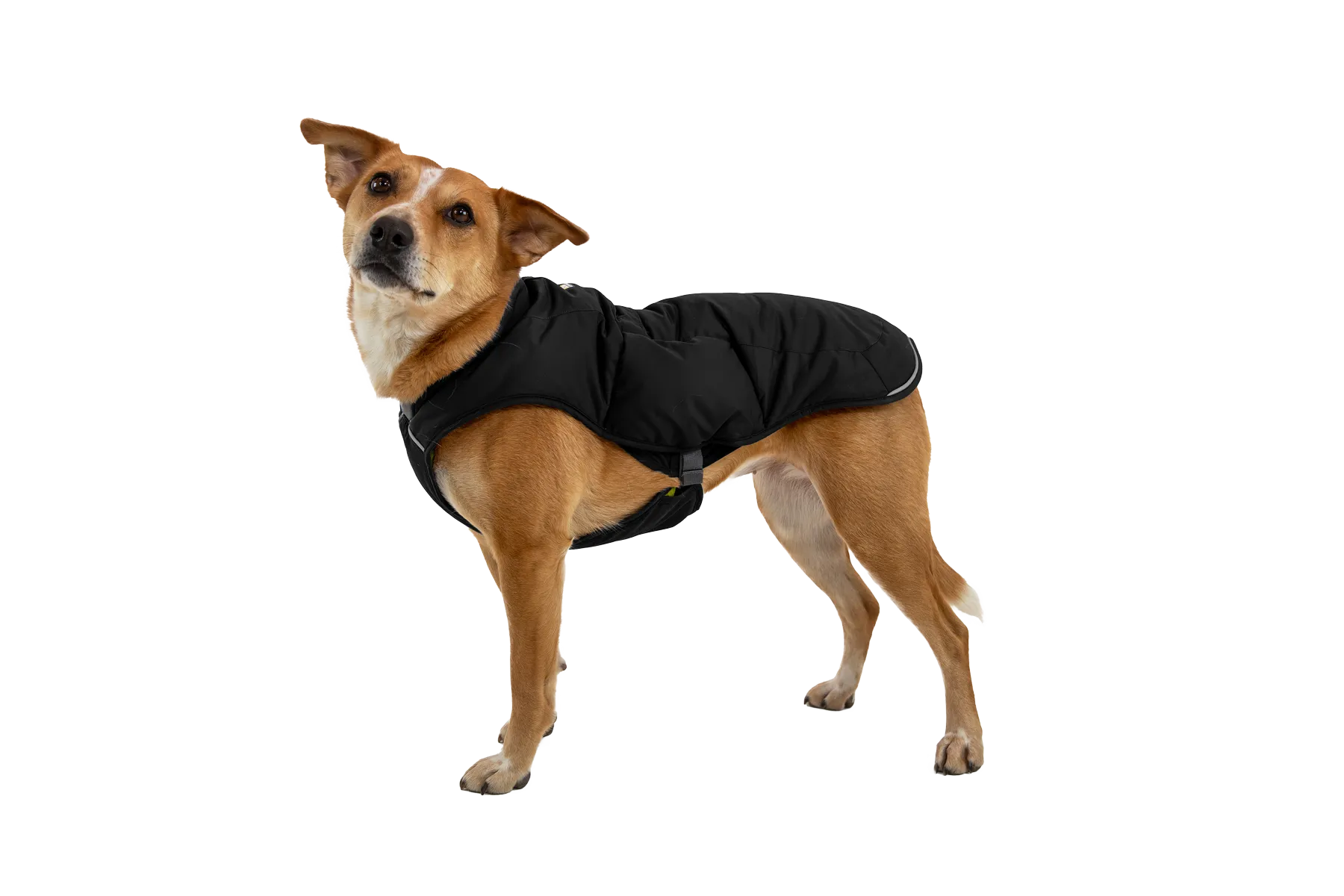 Quinzee™ Dog Jacket