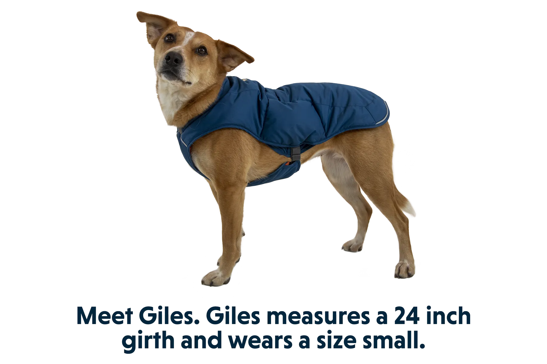 Quinzee™ Dog Jacket