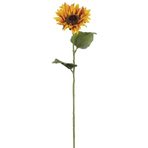 Vivid Yellow Sunflower Fall Stem